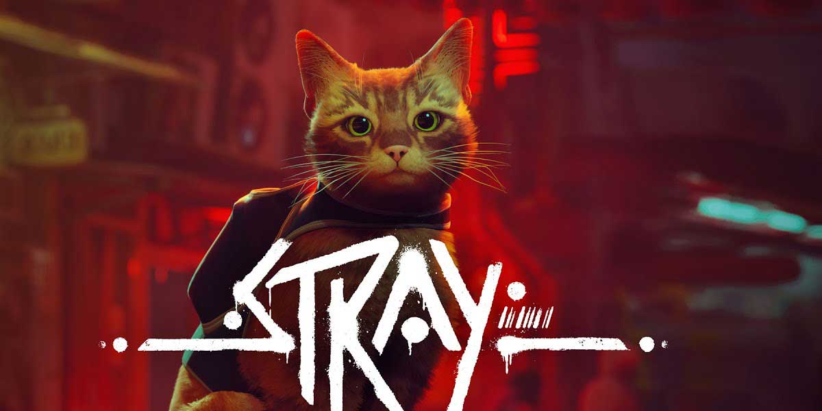 Get Discounts on Stray