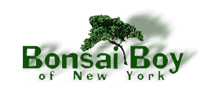 Bonsai Boy Of New York Coupon Code